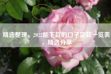精选整理，2022能下款的口子贷款一览表，精选分享