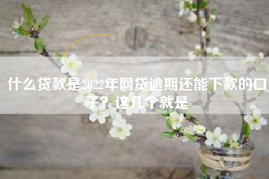 什么贷款是2022年网贷逾期还能下款的口子？这几个就是