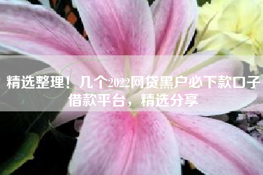 精选整理！几个2022网贷黑户必下款口子借款平台，精选分享