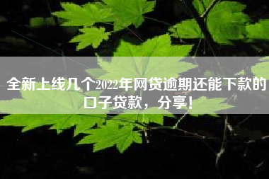 全新上线几个2022年网贷逾期还能下款的口子贷款，分享！