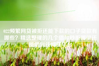 022频繁网贷被拒还能下款的口子贷款有哪些？精选整理的几个借款秒拒哪里还能借到钱网贷平台