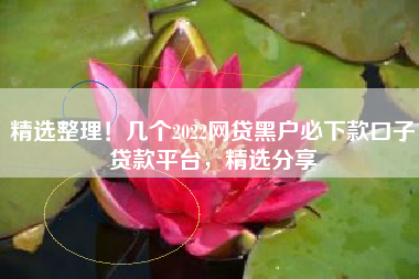 精选整理！几个2022网贷黑户必下款口子贷款平台，精选分享
