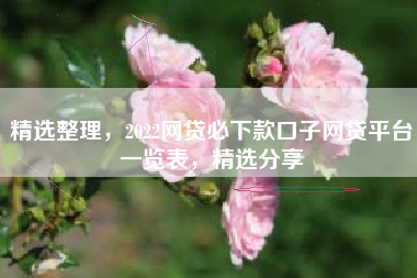 精选整理，2022网贷必下款口子网贷平台一览表，精选分享