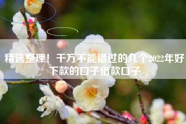 精选整理！千万不能错过的几个2022年好下款的口子借款口子