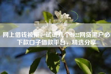 网上借钱被拒，试试几个2022网贷黑户必下款口子借款平台，精选分享