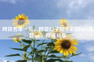 网贷名单一览，网贷口子好下款的2021贷款app，精选分享