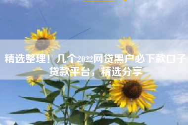 精选整理！几个2022网贷黑户必下款口子贷款平台，精选分享