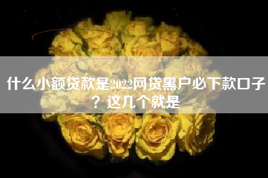 什么小额贷款是2022网贷黑户必下款口子？这几个就是