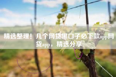 精选整理！几个网贷黑口子必下款app网贷app，精选分享