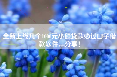 全新上线几个1000元小额贷款必过口子借款软件，分享！
