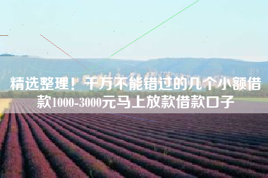 精选整理！千万不能错过的几个小额借款1000-3000元马上放款借款口子