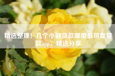精选整理！几个小额贷款哪里最可靠贷款app，精选分享