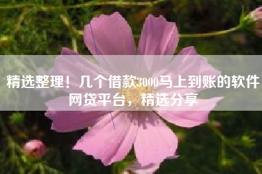 精选整理！几个借款3000马上到账的软件网贷平台，精选分享