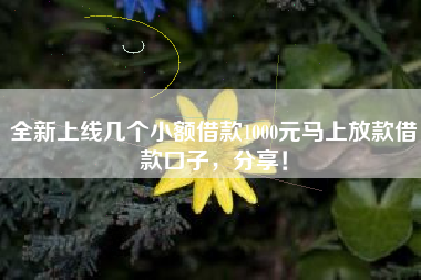 全新上线几个小额借款1000元马上放款借款口子，分享！