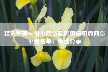 精选整理一份小额贷款哪里最可靠网贷平台名单，精选分享