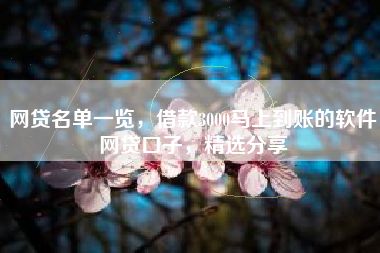 网贷名单一览，借款3000马上到账的软件网贷口子，精选分享
