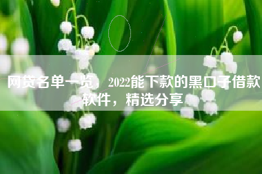 网贷名单一览，2022能下款的黑口子借款软件，精选分享