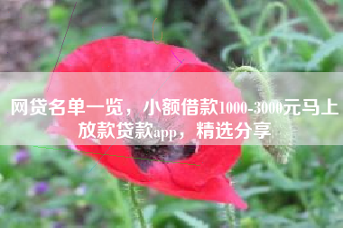 网贷名单一览，小额借款1000-3000元马上放款贷款app，精选分享