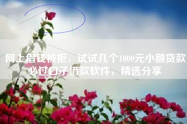 网上借钱被拒，试试几个1000元小额贷款必过口子借款软件，精选分享