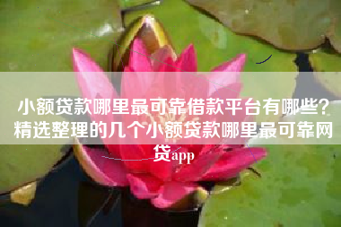 小额贷款哪里最可靠借款平台有哪些？精选整理的几个小额贷款哪里最可靠网贷app