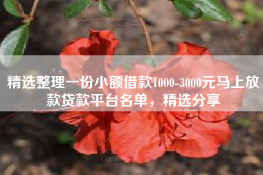 精选整理一份小额借款1000-3000元马上放款贷款平台名单，精选分享