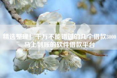 精选整理！千万不能错过的几个借款3000马上到账的软件借款平台