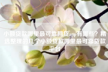 小额贷款哪里最可靠网贷app有哪些？精选整理的几个小额贷款哪里最可靠贷款平台