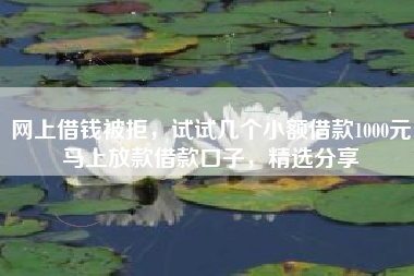 网上借钱被拒，试试几个小额借款1000元马上放款借款口子，精选分享