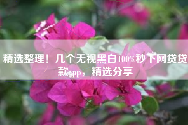 精选整理！几个无视黑白100%秒下网贷贷款app，精选分享