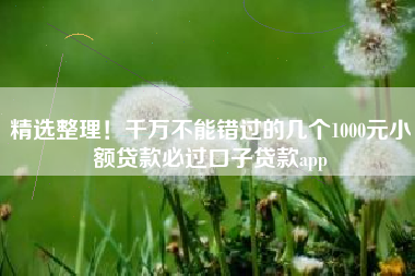 精选整理！千万不能错过的几个1000元小额贷款必过口子贷款app