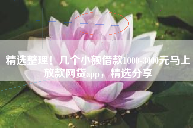 精选整理！几个小额借款1000-3000元马上放款网贷app，精选分享
