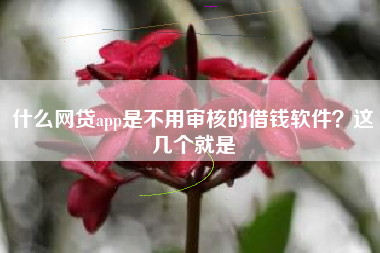 什么网贷app是不用审核的借钱软件？这几个就是