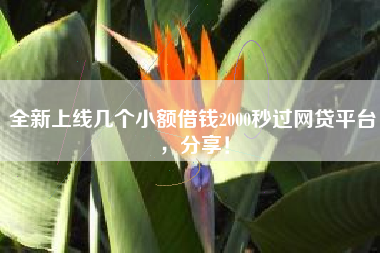 全新上线几个小额借钱2000秒过网贷平台，分享！