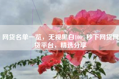 网贷名单一览，无视黑白100%秒下网贷网贷平台，精选分享