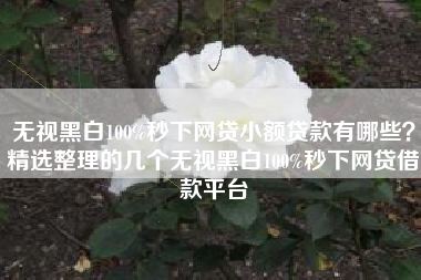 无视黑白100%秒下网贷小额贷款有哪些？精选整理的几个无视黑白100%秒下网贷借款平台