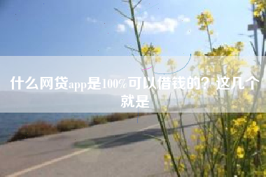 什么网贷app是100%可以借钱的？这几个就是
