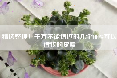 精选整理！千万不能错过的几个100%可以借钱的贷款