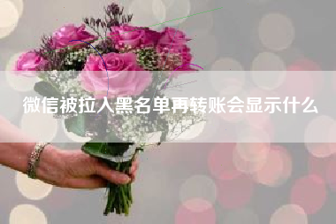 微信被拉入黑名单再转账会显示什么
