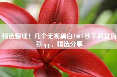 精选整理！几个无视黑白100%秒下网贷贷款app，精选分享