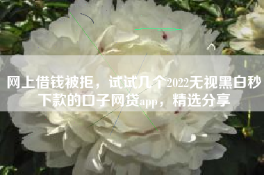 网上借钱被拒，试试几个2022无视黑白秒下款的口子网贷app，精选分享