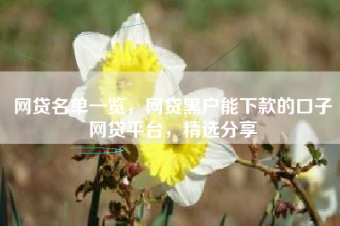 网贷名单一览，网贷黑户能下款的口子网贷平台，精选分享
