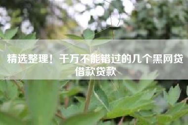 精选整理！千万不能错过的几个黑网贷借款贷款
