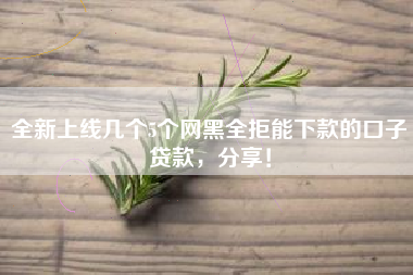全新上线几个5个网黑全拒能下款的口子贷款，分享！