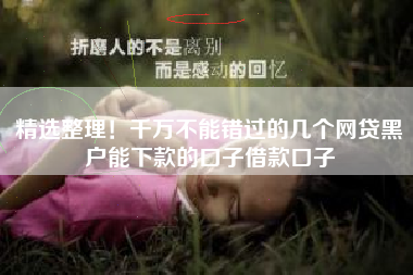 精选整理！千万不能错过的几个网贷黑户能下款的口子借款口子