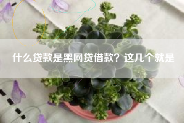 什么贷款是黑网贷借款？这几个就是