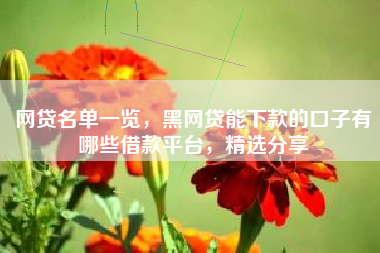网贷名单一览，黑网贷能下款的口子有哪些借款平台，精选分享