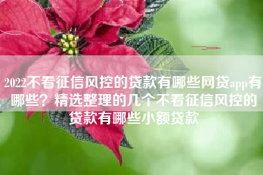 2022不看征信风控的贷款有哪些网贷app有哪些？精选整理的几个不看征信风控的贷款有哪些小额贷款