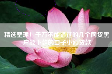 精选整理！千万不能错过的几个网贷黑户能下款的口子小额贷款