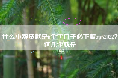 什么小额贷款是6个黑口子必下款app2022？这几个就是
