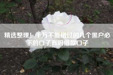 精选整理！千万不能错过的几个黑户必下的口子有吗借款口子